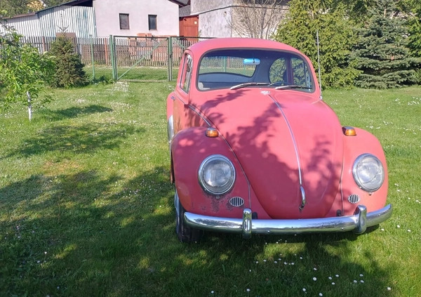 Volkswagen Garbus cena 25900 przebieg: 123400, rok produkcji 1967 z Lublin małe 56